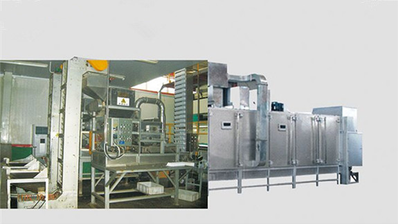 Peanut roasting line