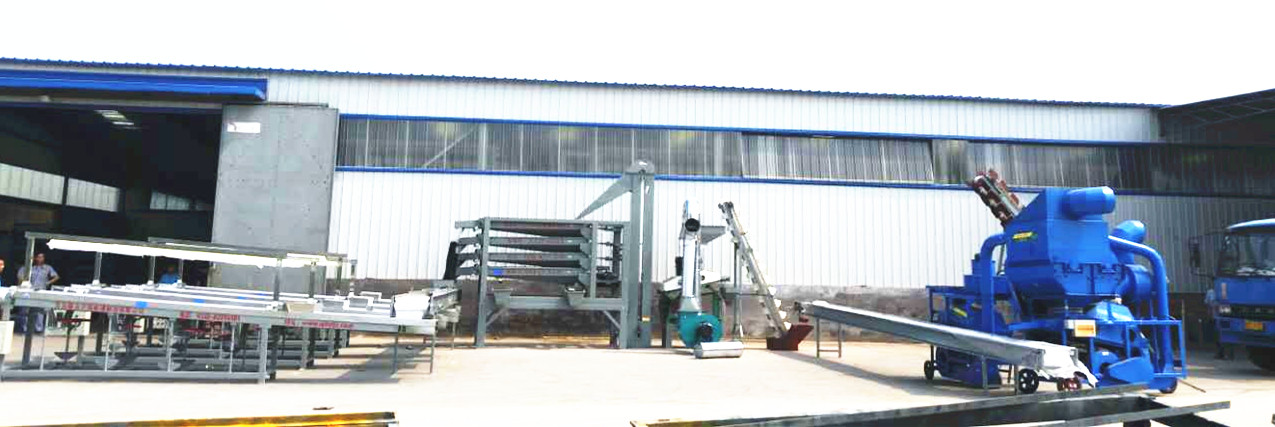 Peanut sorting line
